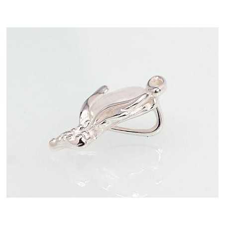 Sidabrinis pakabukas1