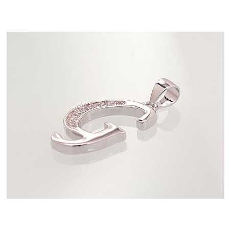 Sidabrinis pakabukas1