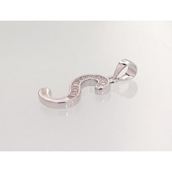 Sidabrinis pakabukas0 2