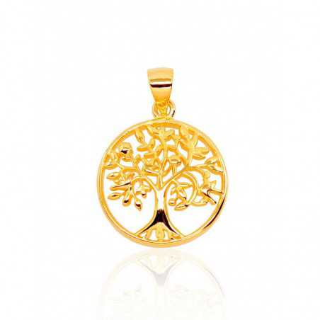 Sidabrinis pakabukas0