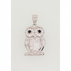 Sidabrinis pakabukas0