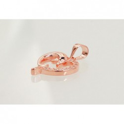 Sidabrinis pakabukas0 2