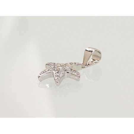 Sidabrinis pakabukas1