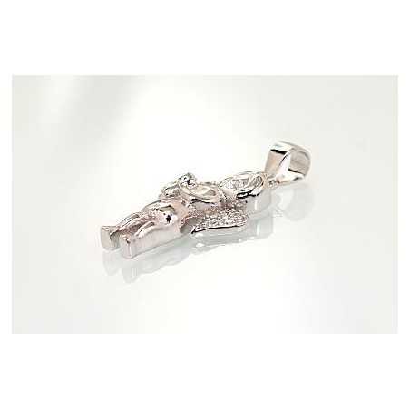 Sidabrinis pakabukas1