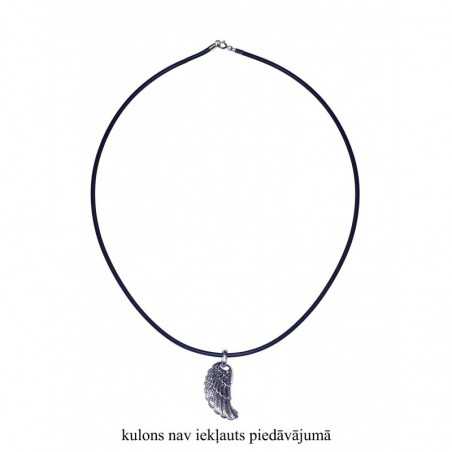 Sidabrinis vėrinys2