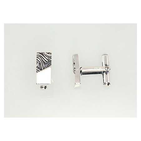 Sidabrinis sąsagos1