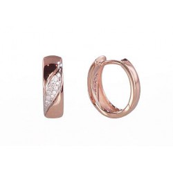 Auksiniai auskarai0 2