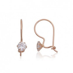 Auksiniai auskarai ant kabliukų0