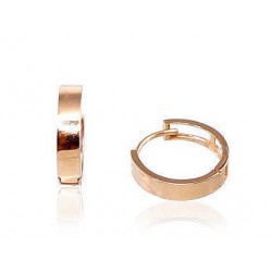 Auksiniai auskarai su apvaliu segtuku0