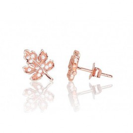 Sidabriniai auskarai –pusetai0