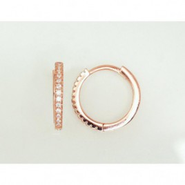 Sidabriniai auskarai su apvaliu segtuku0