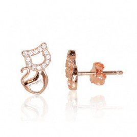 Sidabriniai auskarai –pusetai0