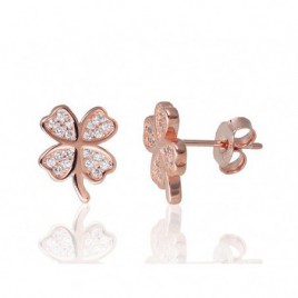 Sidabriniai auskarai –pusetai0