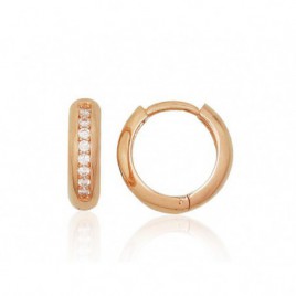 Auksiniai auskarai su apvaliu segtuku0