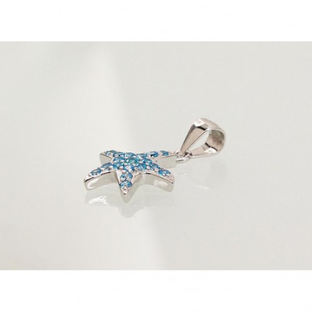 Sidabrinis pakabukas1