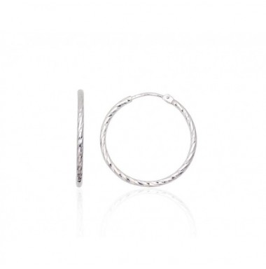 Sidabriniai auskarai –žiedai0