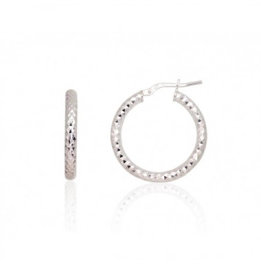 Sidabriniai auskarai –žiedai0