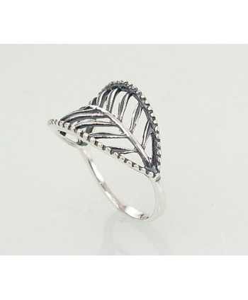 Sidabrinis žiedas0 2