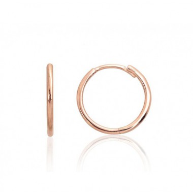 Auksiniai auskarai su apvaliu segtuku0