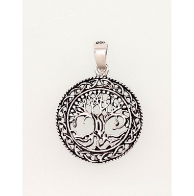 Sidabrinis pakabukas0