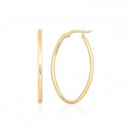 Auksiniai auskarai –žiedai0