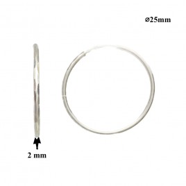 Sidabriniai auskarai rinkės 2