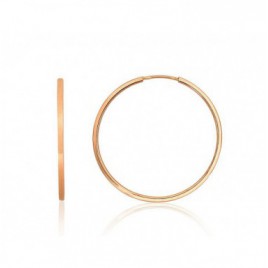 Auksiniai auskarai –žiedai0