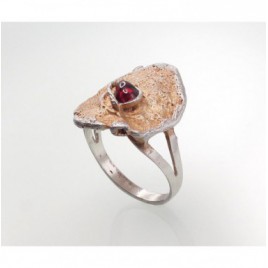 Sidabrinis žiedas0 2