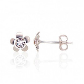 Sidabriniai auskarai –pusetai0