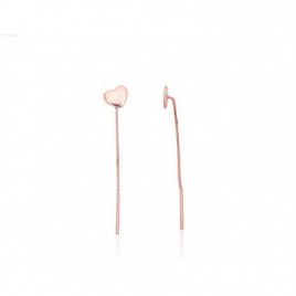 Sidabriniai auskarai0