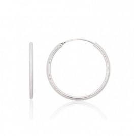 Sidabriniai auskarai –žiedai0