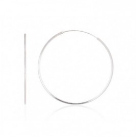 Sidabriniai auskarai –žiedai0