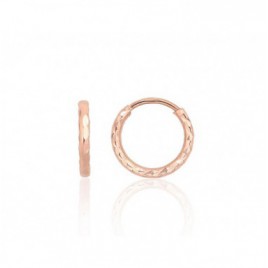 Auksiniai auskarai –žiedai0