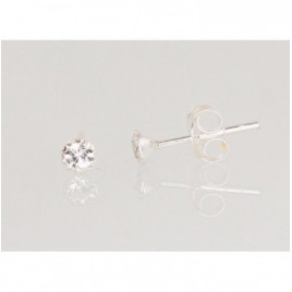 Sidabriniai auskarai –pusetai0