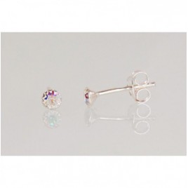 Sidabriniai auskarai –pusetai0