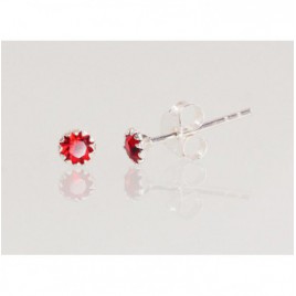 Sidabriniai auskarai –pusetai0