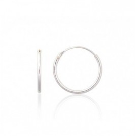 Sidabriniai auskarai –žiedai0