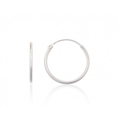 Sidabriniai auskarai –žiedai0