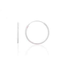 Sidabriniai auskarai –žiedai0