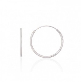 Sidabriniai auskarai –žiedai0