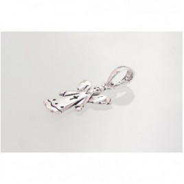 Sidabrinis pakabukas0 2