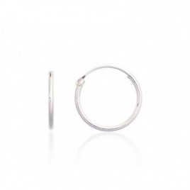 Sidabriniai auskarai –žiedai0