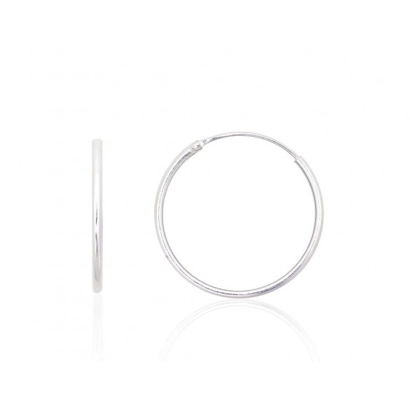 Sidabriniai auskarai –žiedai0