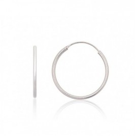 Sidabriniai auskarai –žiedai0