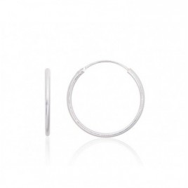 Sidabriniai auskarai –žiedai0