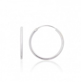 Sidabriniai auskarai –žiedai0