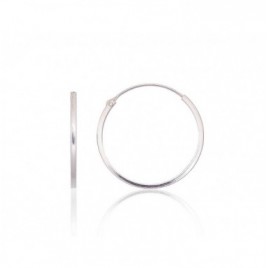 Sidabriniai auskarai –žiedai0