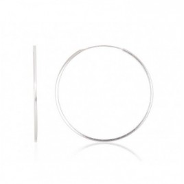 Sidabriniai auskarai –žiedai0