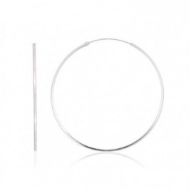 Sidabriniai auskarai –žiedai0