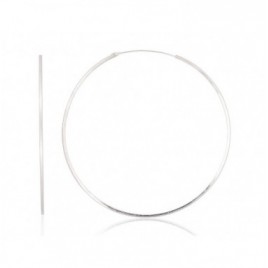 Sidabriniai auskarai –žiedai0